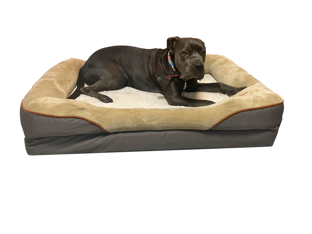 Magic Dog Hundebett mit orthopädischer Memory-Foam-Matratze, Flauschiger Bezug aus Plüsch, in Größen erhältlich, Hundekissen für kleine, mittelgroße und große Hunde, waschbarer Bezug, rutschfest - Pillows24